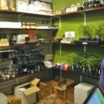 Explore Weed Dispensary Options In Schaumburg