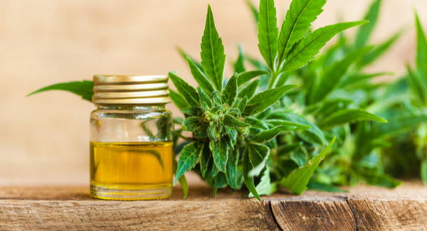 CBD 101: Everything You Need To Know Before You Try It